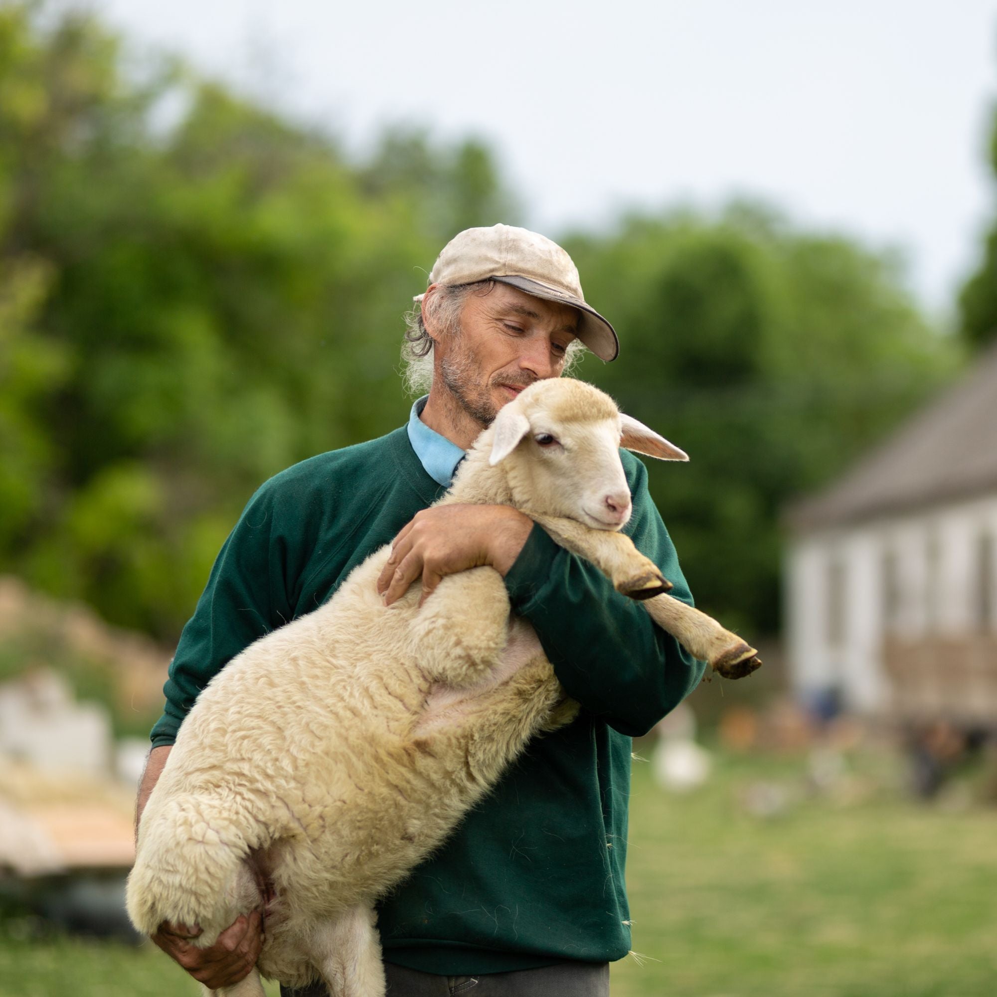 Using British Wool for Jumpers and Knitwear