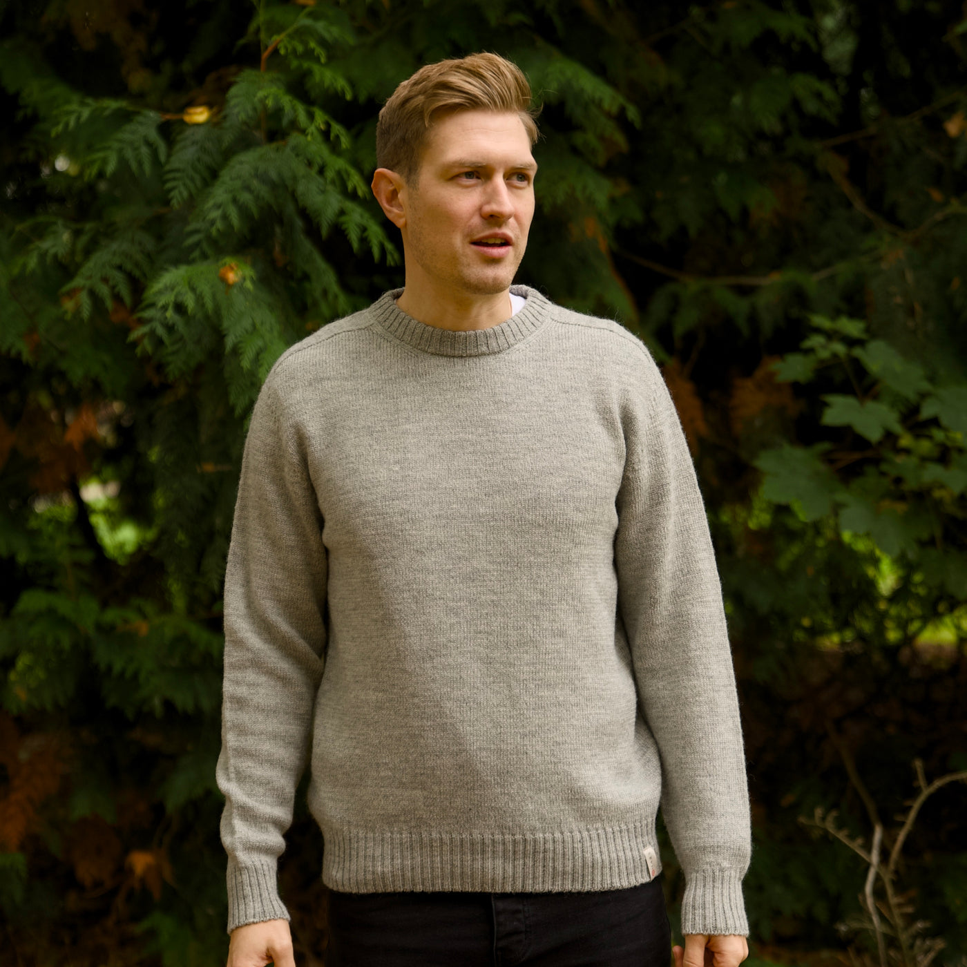 Merino Wool - Charlie - Calina