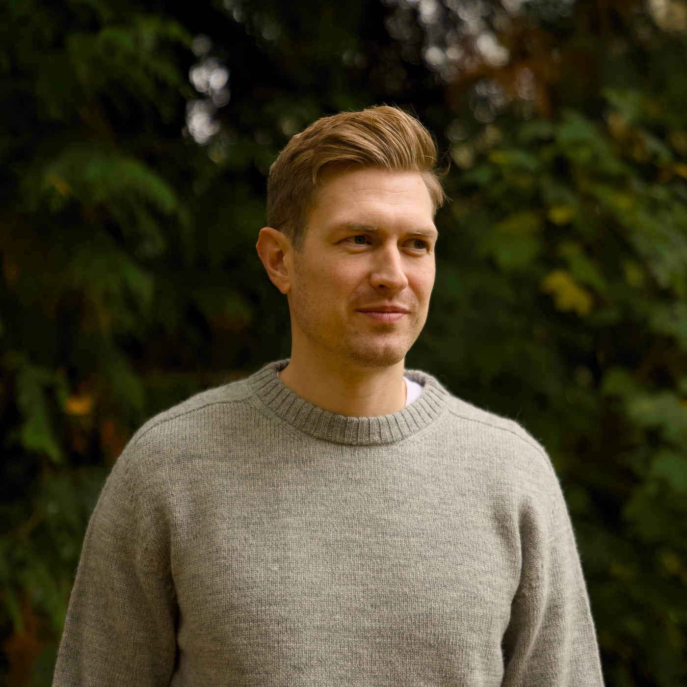 Merino Wool - Charlie - Calina