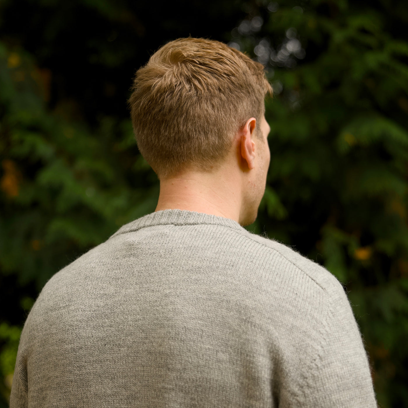 Merino Wool - Charlie - Calina