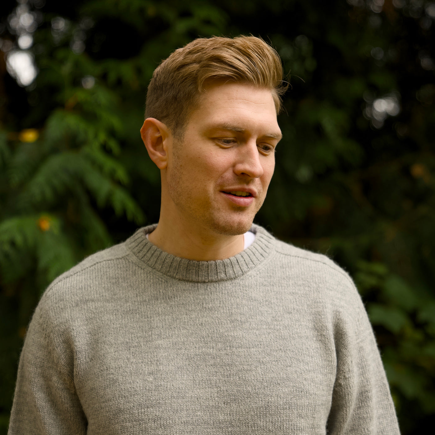 Merino Wool - Charlie - Calina