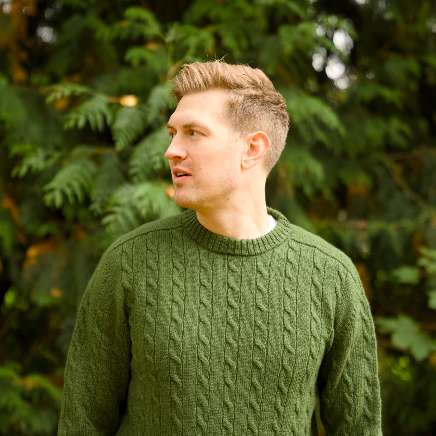 Merino Wool Cable - Robert Louis - Bosque