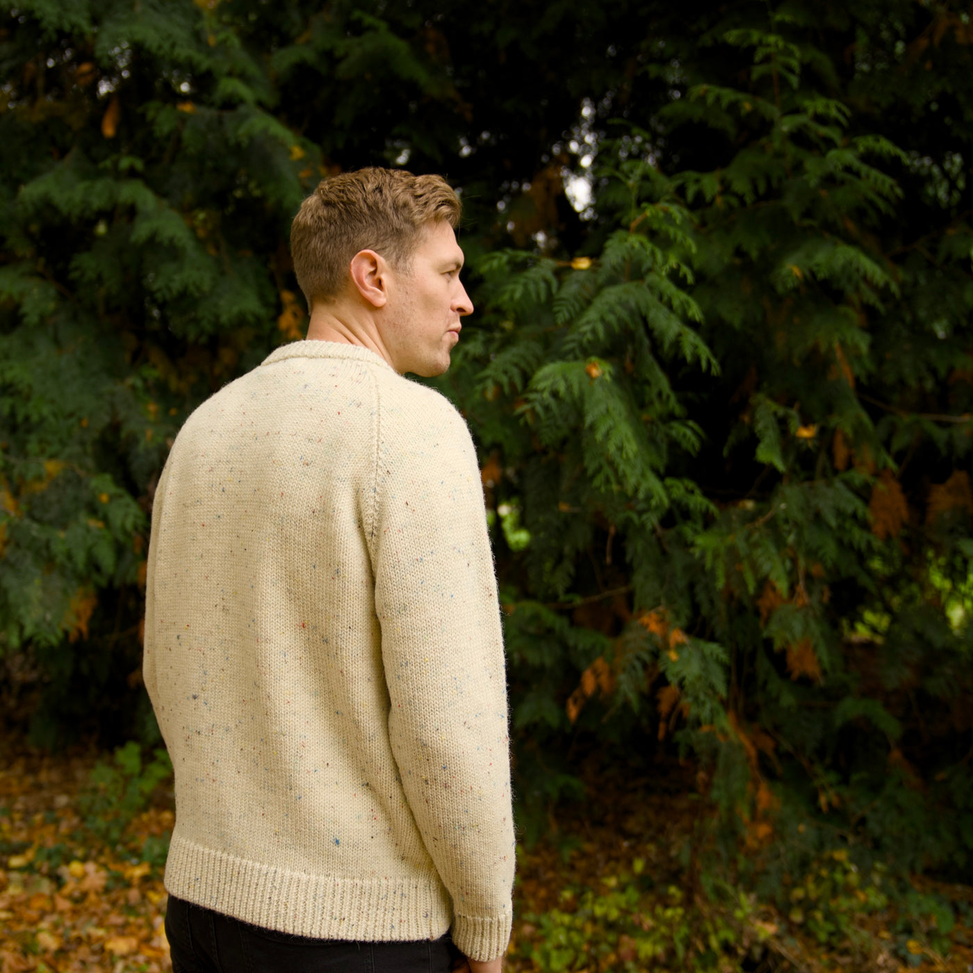 British Wool - Raglan Nepp - Rainbow