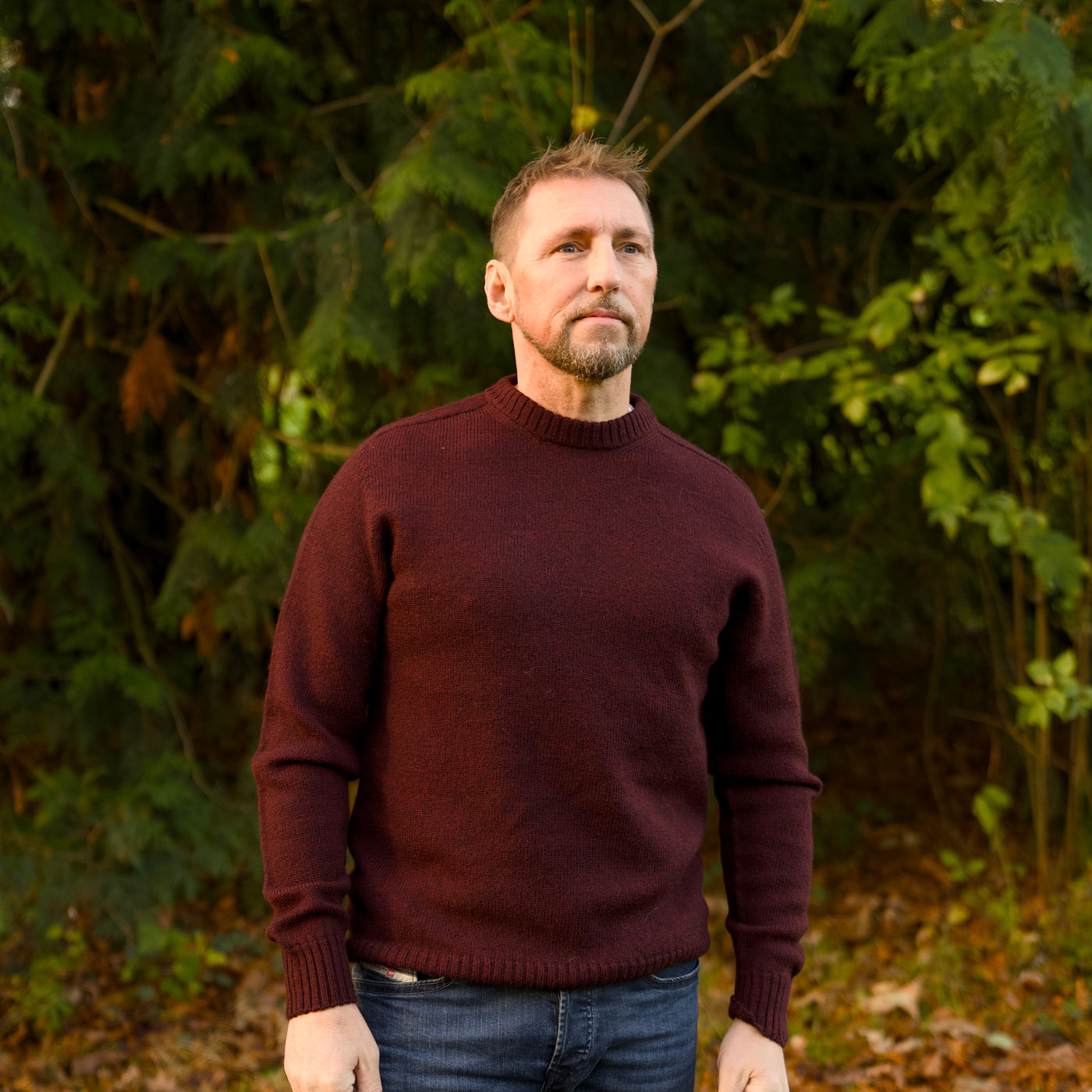 Merino Wool - Charlie - Rioja