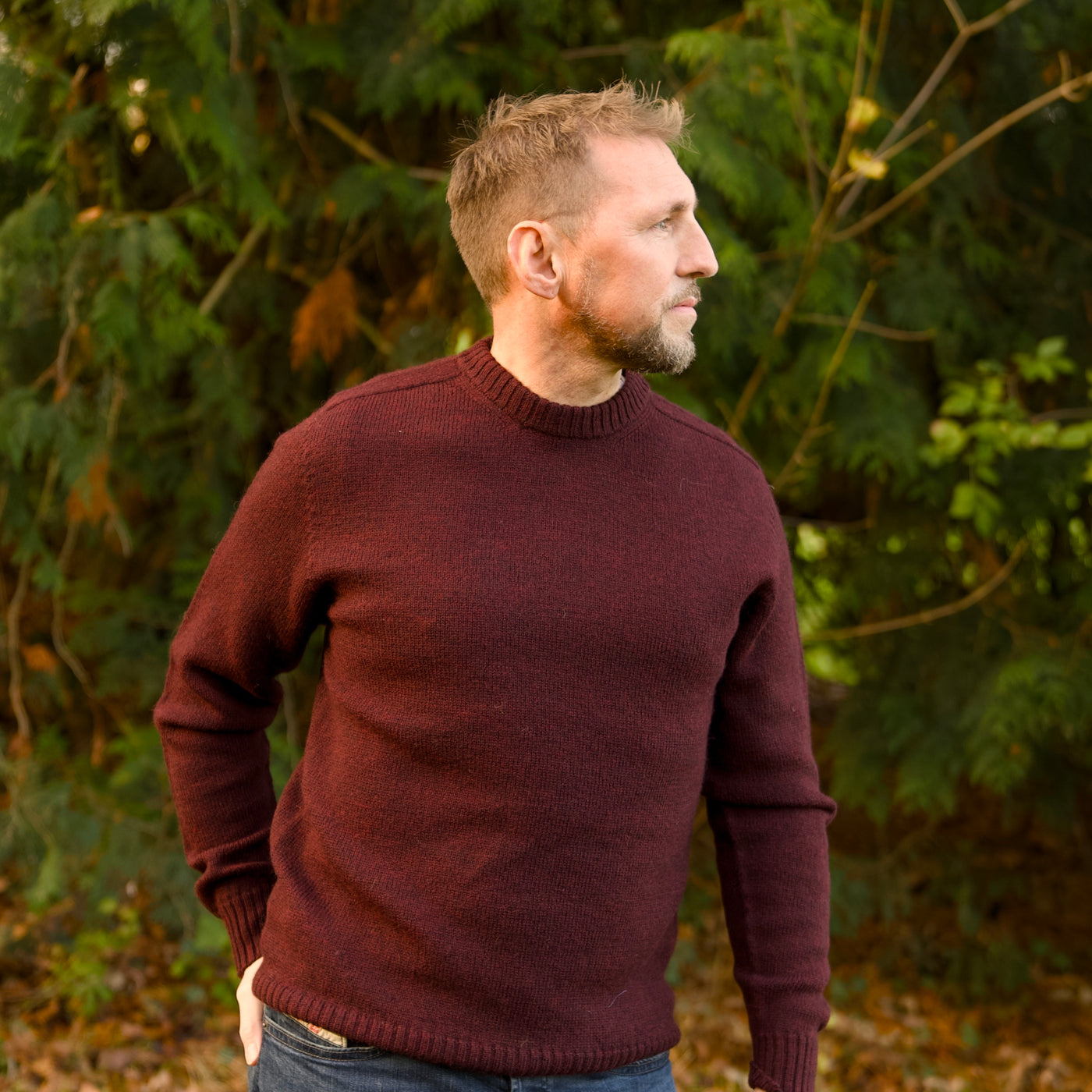 Merino Wool - Charlie - Rioja