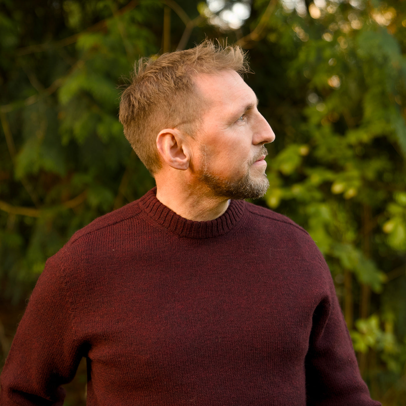 Merino Wool - Charlie - Rioja