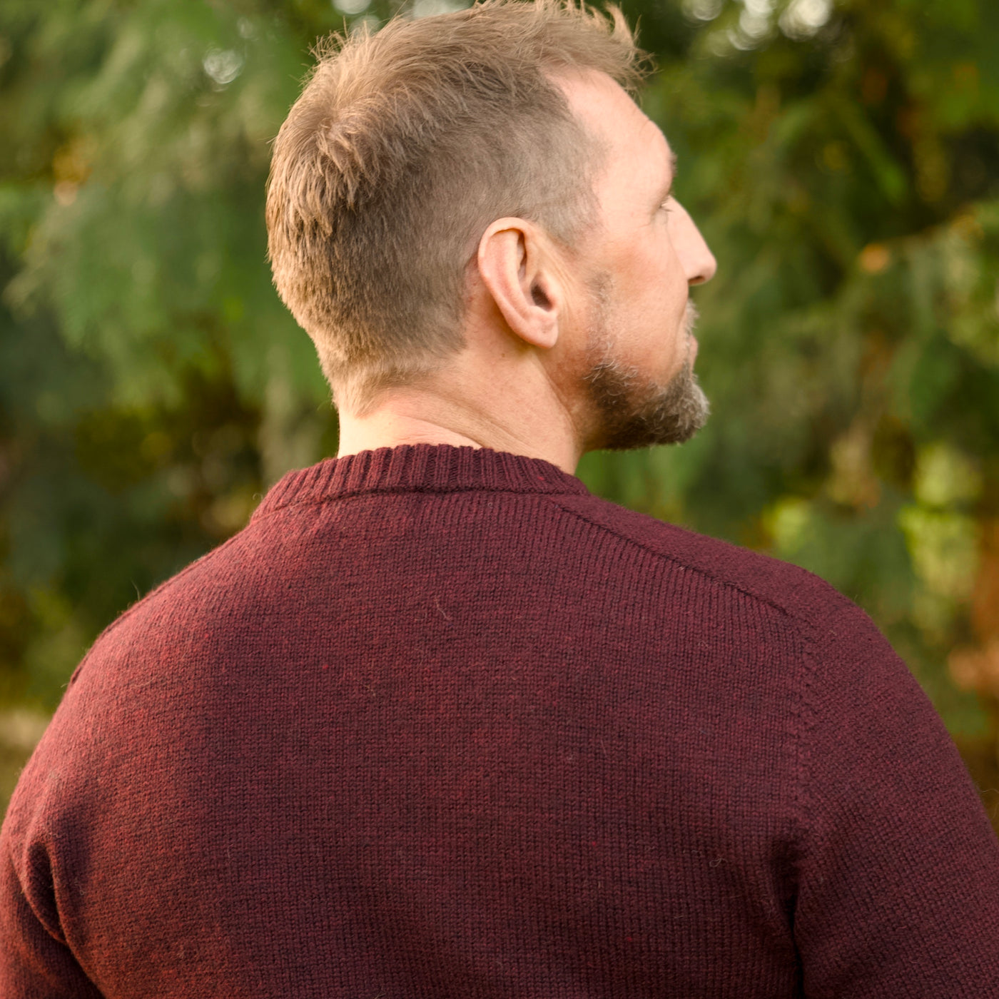 Merino Wool - Charlie - Rioja